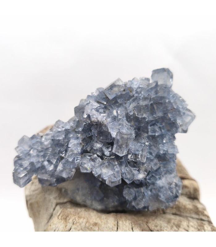 Fluorite, Le Burc, Tarn (81)