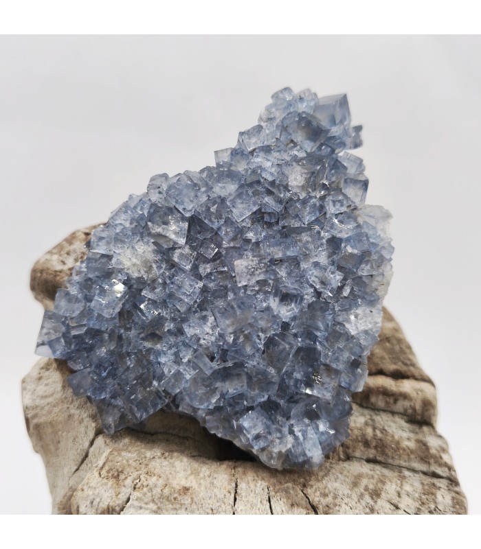 Fluorite, Le Burc, Tarn (81)