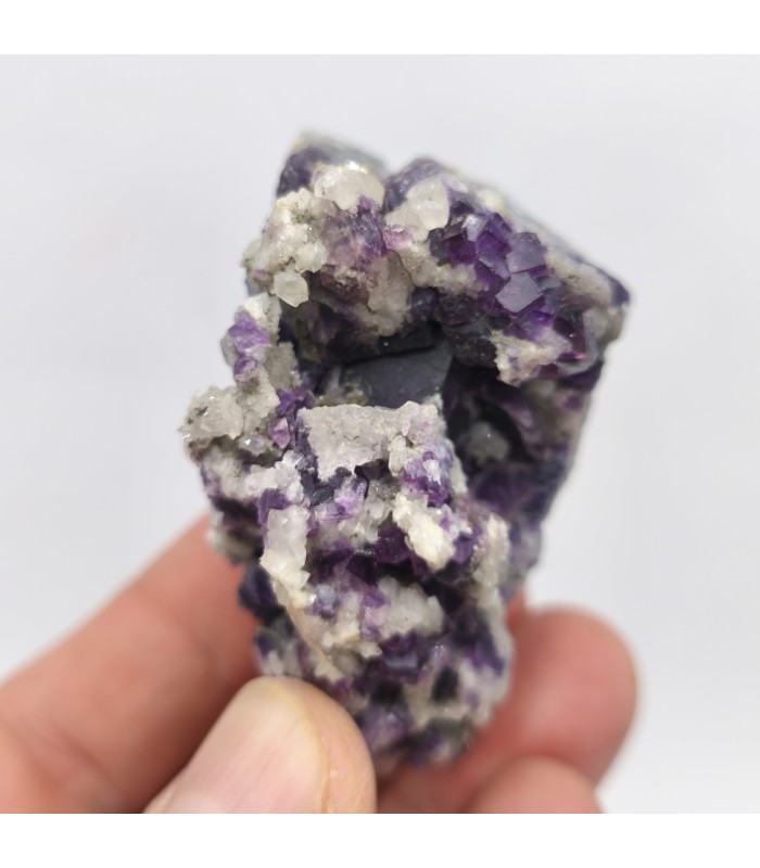 Fluorite, Le Burc, Tarn (81)