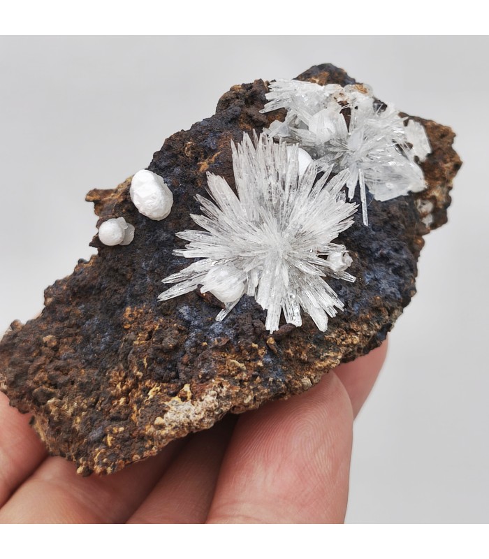 Aragonite, Gergovie, Puy de Dôme (63)