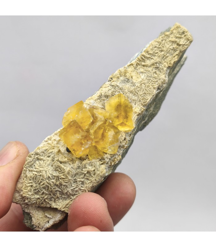 Fluorite, Peyrebrune, Tarn (81)