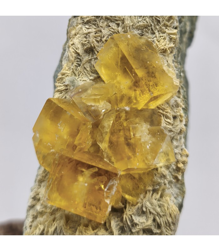 Fluorite, Peyrebrune, Tarn (81)