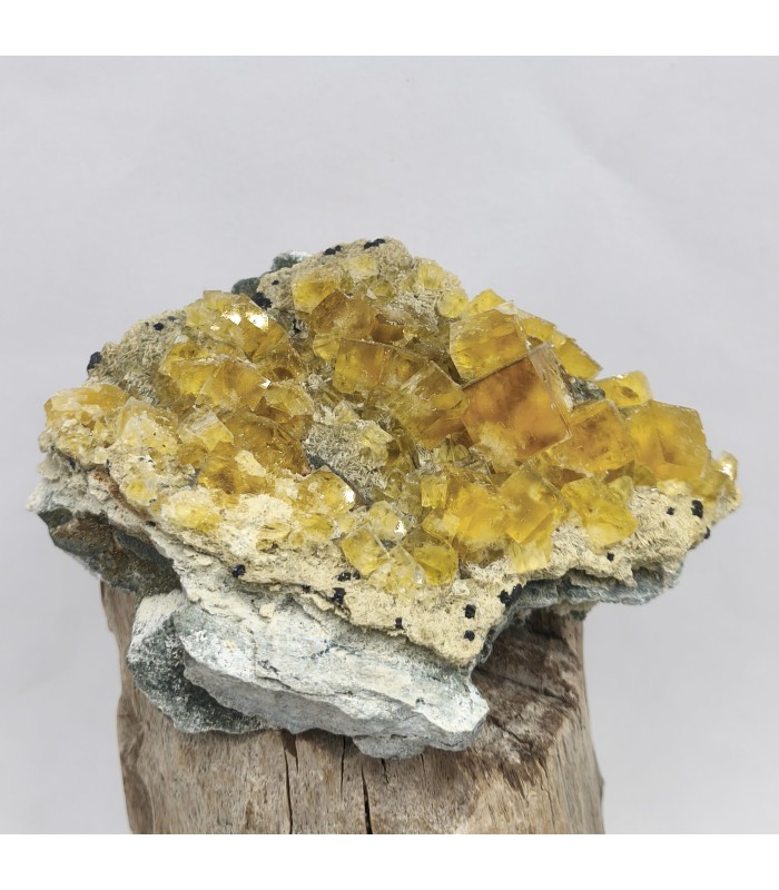 Fluorite, Peyrebrune, Tarn (81)