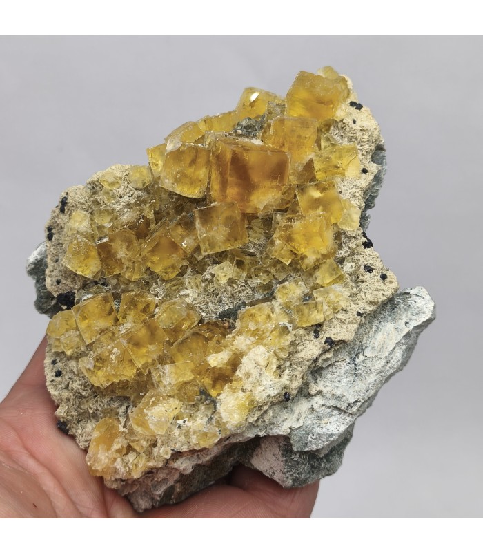 Fluorite, Peyrebrune, Tarn (81)