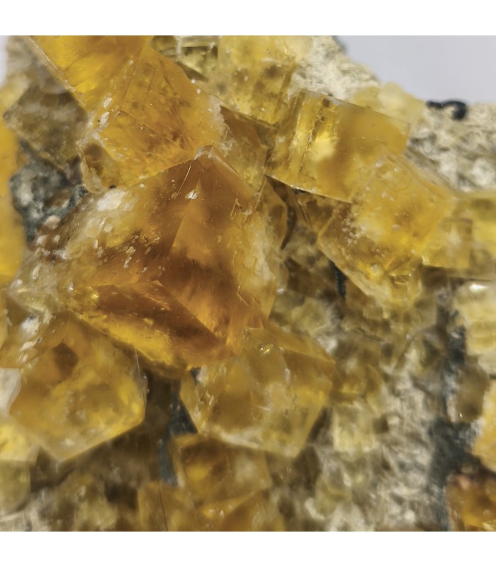 Fluorite, Peyrebrune, Tarn (81)