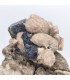 Fluorite et Baryte , Valzergues, Aveyron (12)