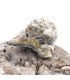 Pyromorphite, Sainte Sévère, Indre (36)