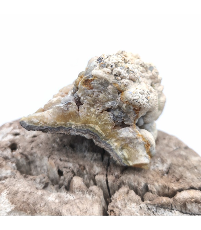 Pyromorphite, Sainte Sévère, Indre (36)