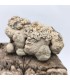 Pyromorphite, Sainte Sévère, Indre (36)