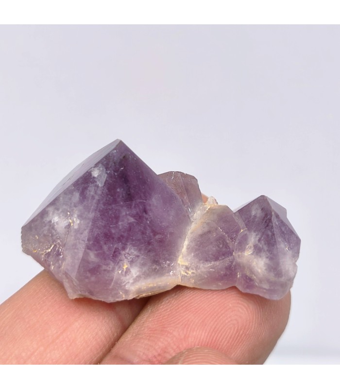 Améthyste, Les Rioux de la Barre , Puy de Dôme (63)