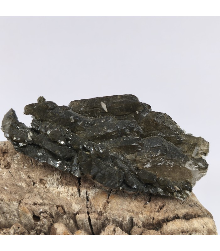 Quartz chlorité et anatase, Grandes Rousses, Isère, (38)