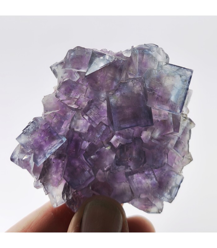 Fluorite, Mine du Beix , Puy de Dôme (63)