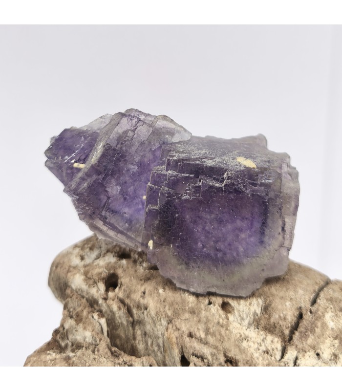 Fluorite, Fontsante, Var (83)