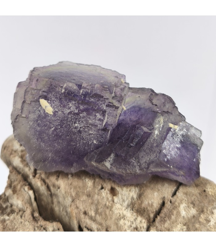 Fluorite, Fontsante, Var (83)