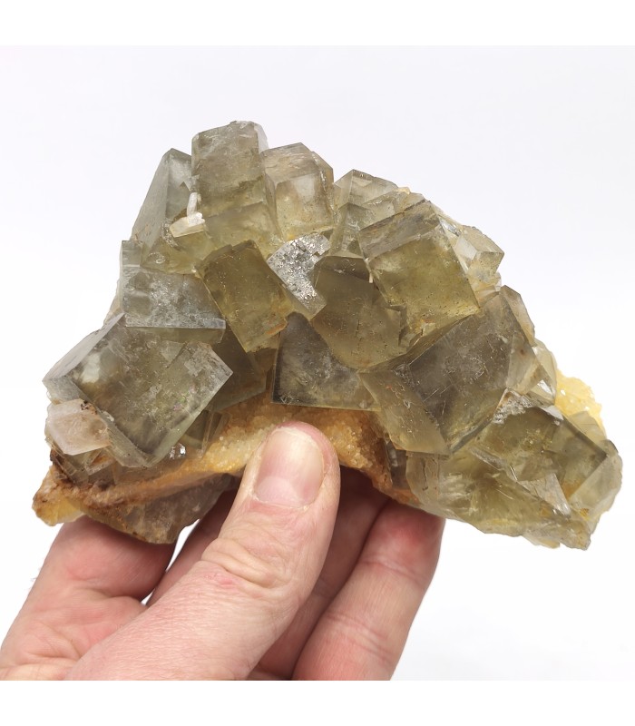 Fluorite et Baryte, L'avellan, Var (83)