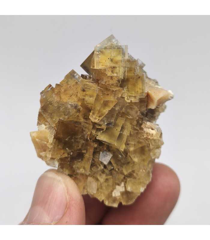 Fluorite, La Barre, Puy de Dôme (63)