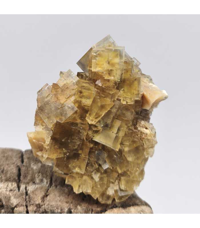 Fluorite, La Barre, Puy de Dôme (63)