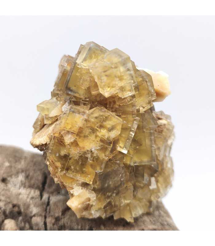 Fluorite, La Barre, Puy de Dôme (63)