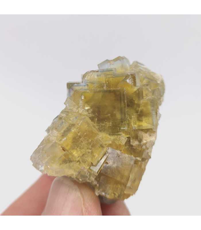 Fluorite, La Barre, Puy de Dôme (63)
