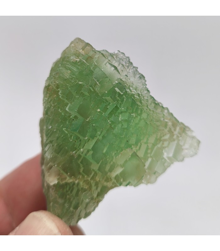 Fluorite, La Barre, Puy de Dôme (63)
