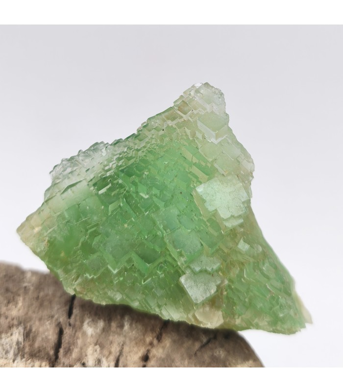Fluorite, La Barre, Puy de Dôme (63)
