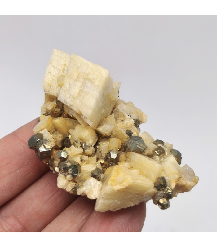 Pyrite sur Dolomite, Saint Pierre de Mésage, Isère (38)