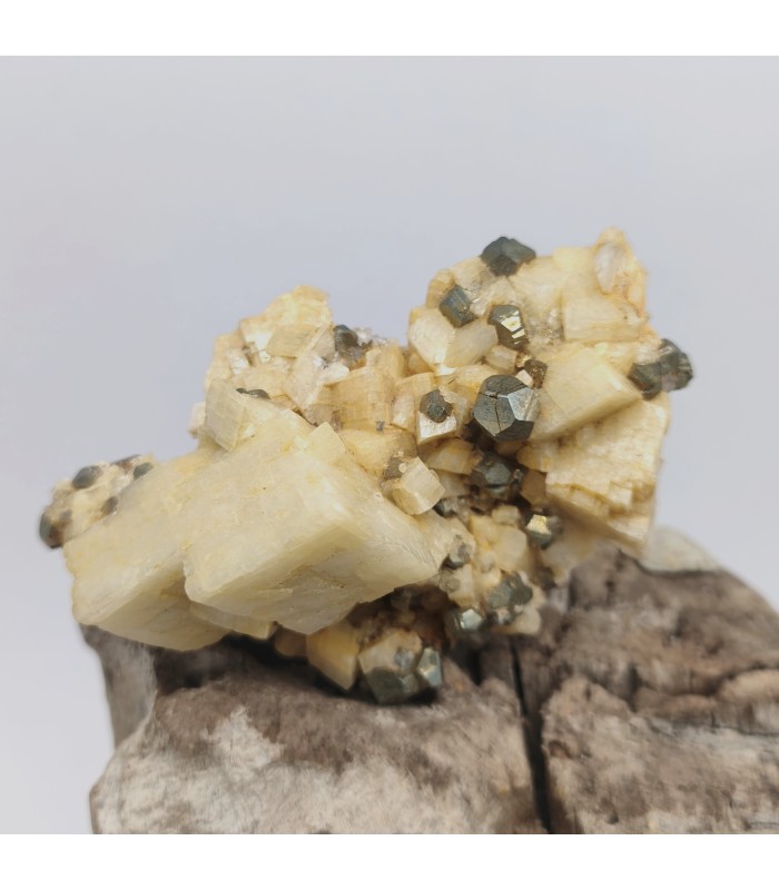 Pyrite sur Dolomite, Saint Pierre de Mésage, Isère (38)