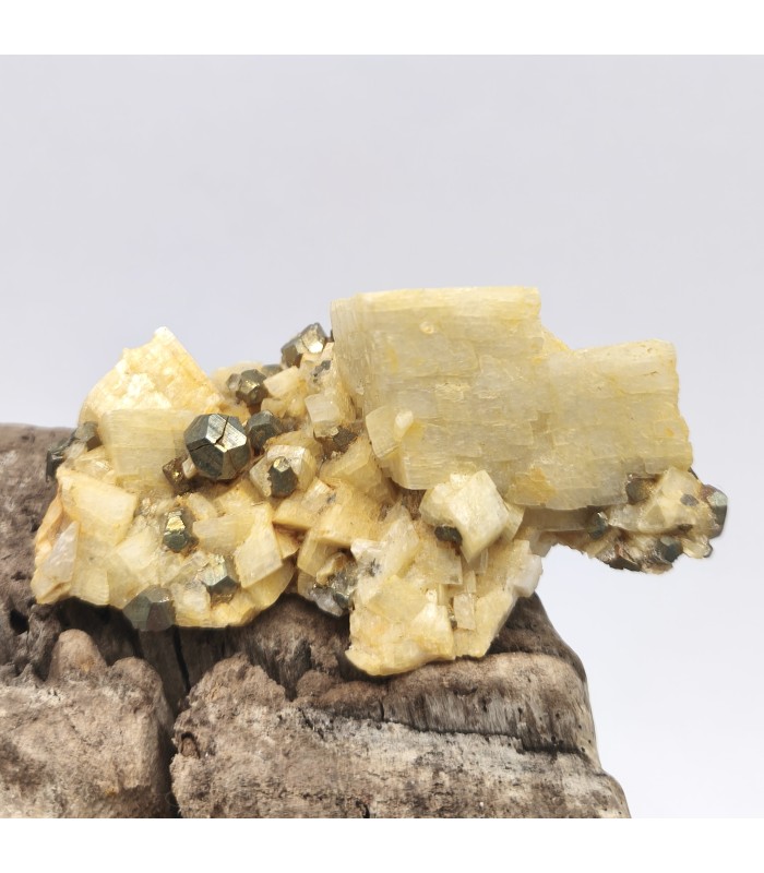 Pyrite sur Dolomite, Saint Pierre de Mésage, Isère (38)