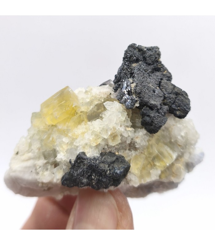 Fluorite et Galène, Versilhac , Haute Loire (43)