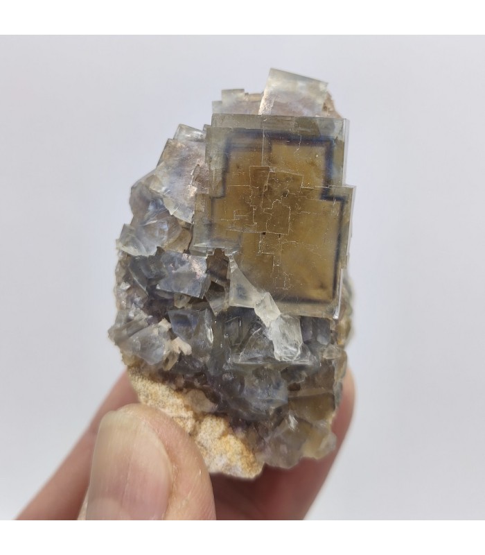 Fluorite, La Barre, Puy de Dôme (63)